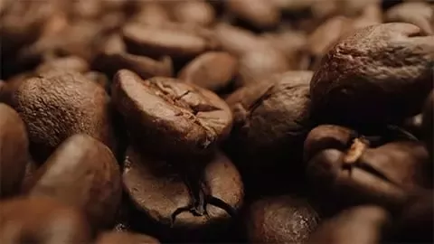 Kaffeebohnen