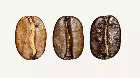 Kaffeebohnen in der Hand