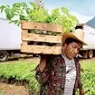 Nespresso Origins Farmer