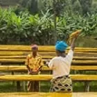 Nespresso Origins Farmer